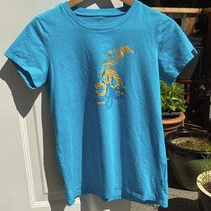 M - turquoise Arc’teryx climbing t-shirt (S/M)
